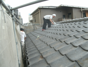 Untitled design (11)